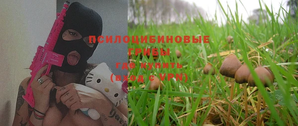 СК Няндома